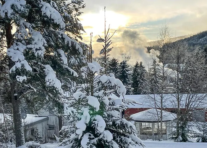 Awesome In With Wifi * Trysil